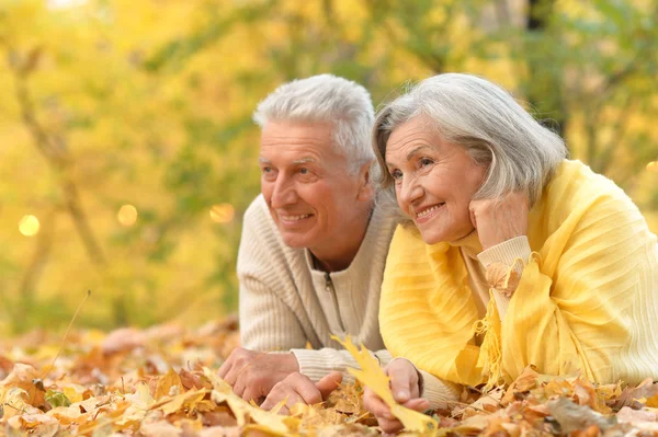 Coppia matura nel parco autunnale — Foto Stock