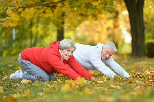 Couple aîné faisant de l'exercice dans le parc — Photo