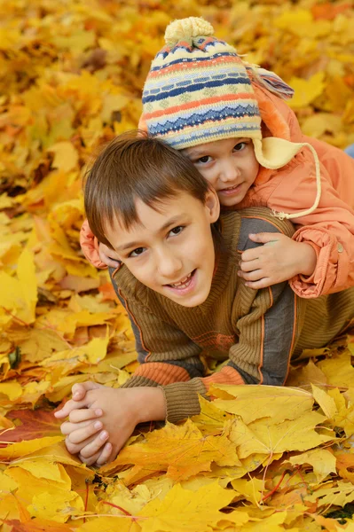 Menino e menina no parque de outono — Fotografia de Stock