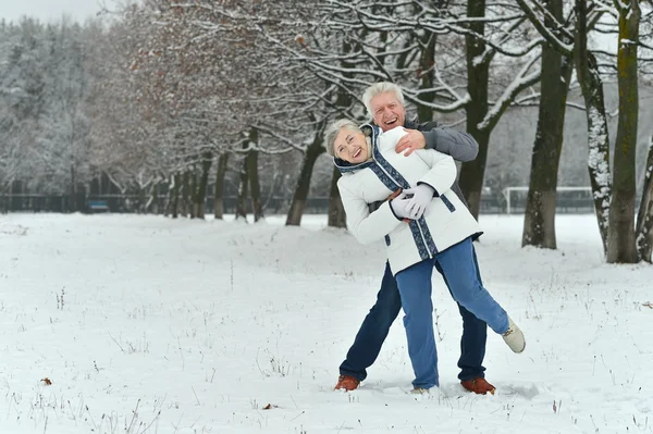 Älteres Ehepaar im Winterwald — Stockfoto
