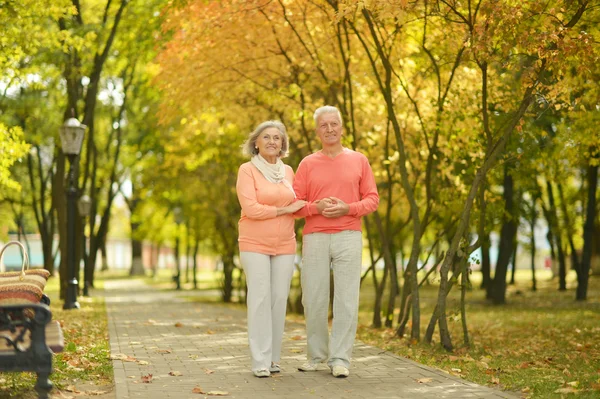 Pareja de ancianos en otoño parque — Foto de Stock