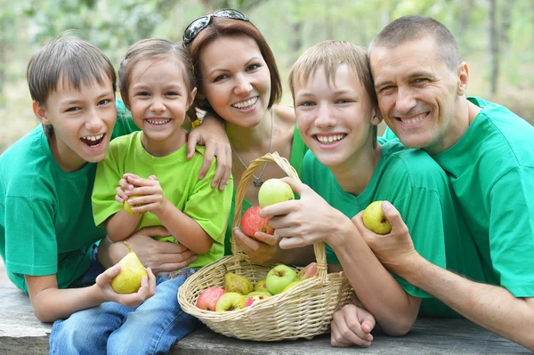 Famiglia che fa picnic nel parco estivo — Foto Stock