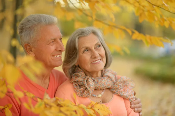 Parejas maduras en el parque de otoño — Foto de Stock