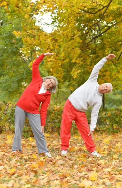 Couple aîné faisant de l'exercice dans le parc — Photo