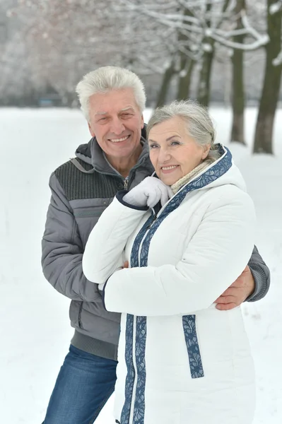 Bejaarde echtpaar in winter forest — Stockfoto