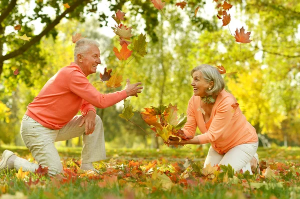 Mature couple in autumn park — Stock Photo, Image