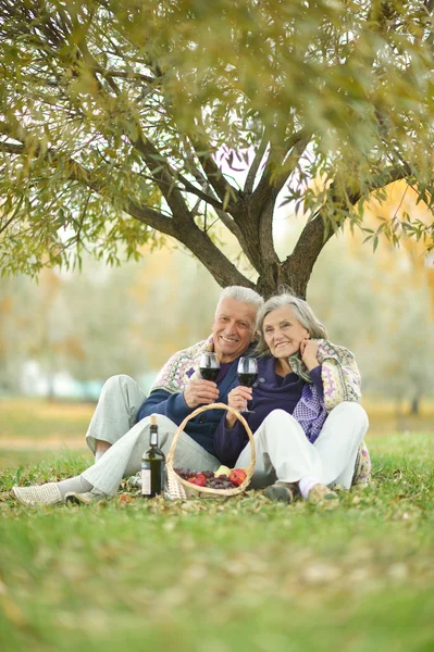 Divertente vecchia coppia — Foto Stock