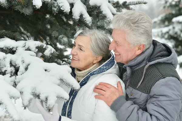 Senior paar wandelen in de winter — Stockfoto