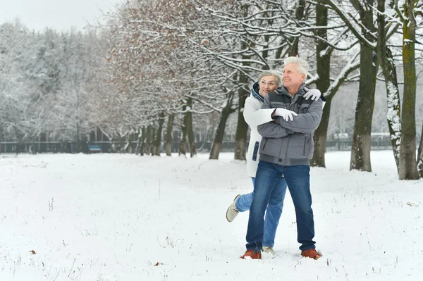 Bejaarde echtpaar in winter forest — Stockfoto