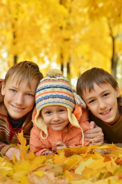 Niños y una chica en el parque de otoño —  Fotos de Stock