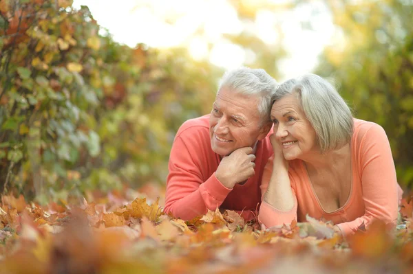 年长的夫妻，在秋天的公园 — 图库照片