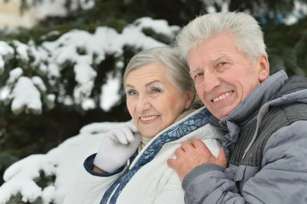 Senior paar wandelen in de winter — Stockfoto