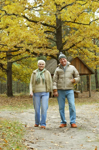 Senior couple  in autumn park — Stock Photo, Image