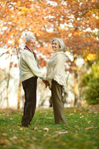 Starsza para w parku jesień — Zdjęcie stockowe