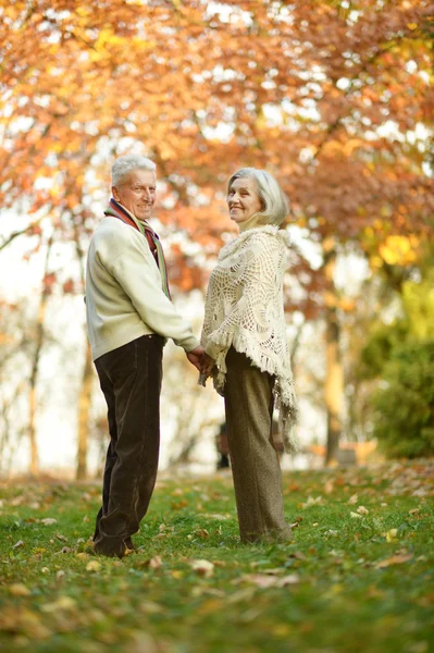 Parejas maduras en el parque de otoño —  Fotos de Stock