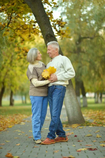 Bejaarde echtpaar in herfst park — Stockfoto