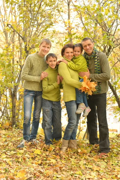 Aile rahatlatıcı sonbahar Park — Stok fotoğraf