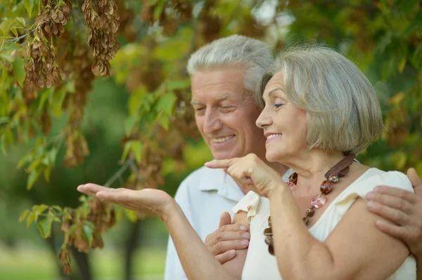 Happy old couple — Stock Photo, Image