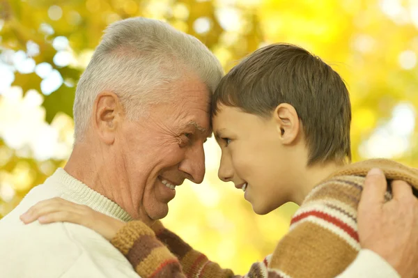 Grandfather and grandson in park Royalty Free Stock Photos