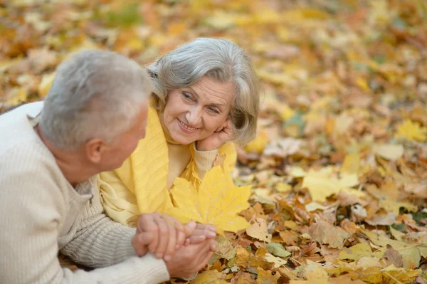 Pareja mayor en el parque de otoño — Foto de Stock