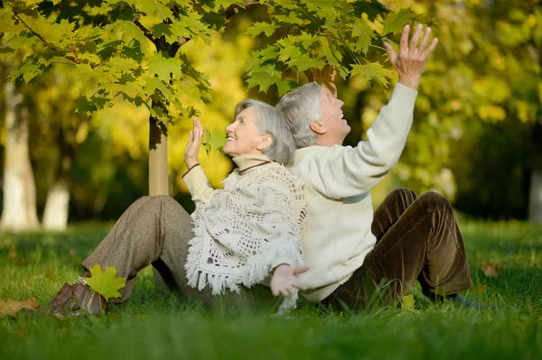 Anziani coppia insieme — Foto Stock