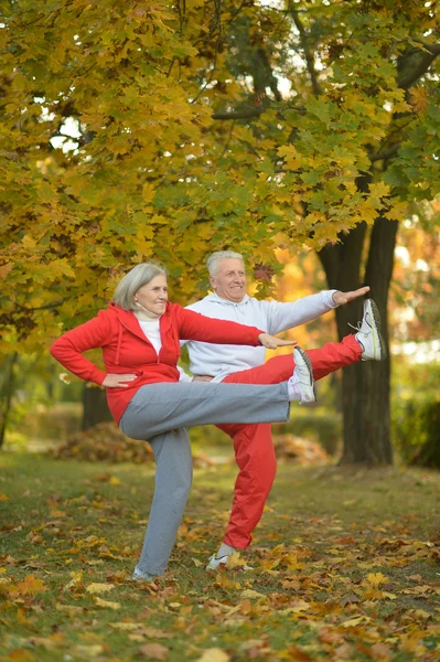 Casal sénior exercitando — Fotografia de Stock