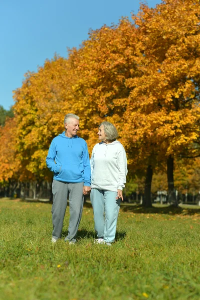 Seniorenpaar im Herbstpark — Stockfoto