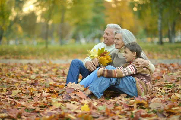 Happy grandparents with grandson — Stock Photo, Image