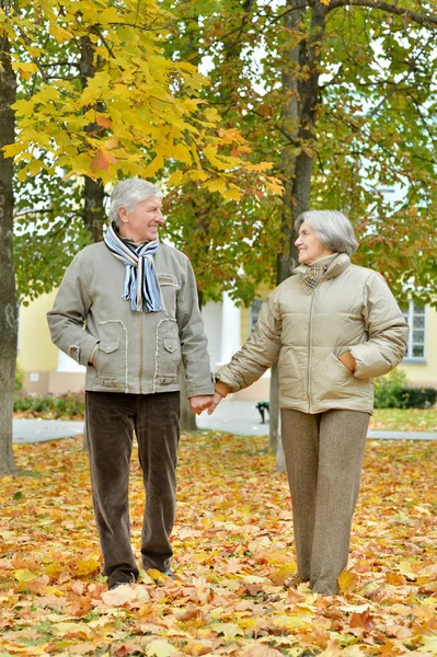 Seniorenpaar in herfstpark — Stockfoto