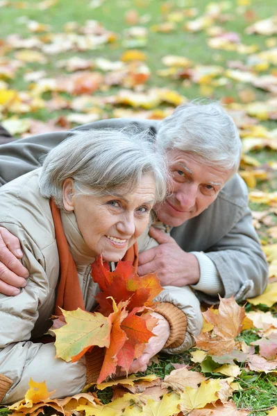 Starší pár v podzimním parku — Stock fotografie