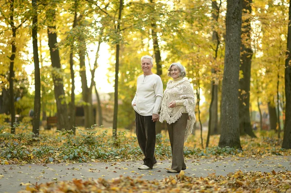 Pareja de ancianos juntos —  Fotos de Stock