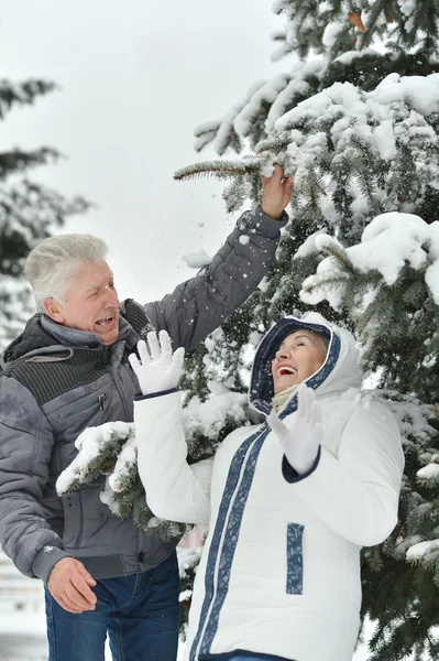 Glückliches Seniorenpaar im Winter — Stockfoto