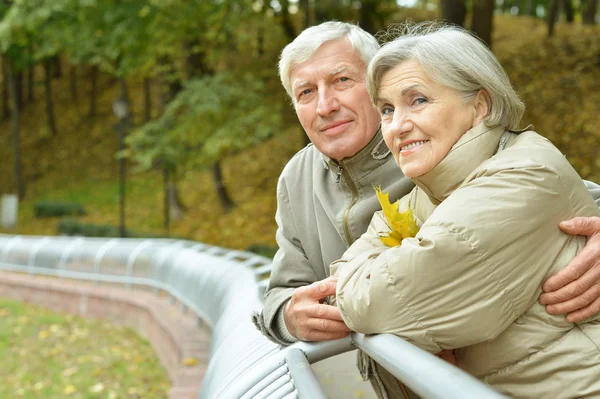 Senior couple in autumn park — Stock Photo, Image