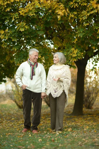 Pareja de ancianos juntos — Foto de Stock