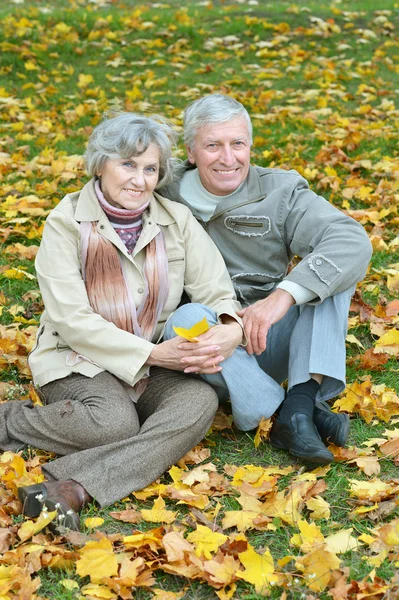 Seniorenpaar in herfstpark — Stockfoto