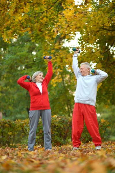 Senior couple exercising — Stock Photo, Image