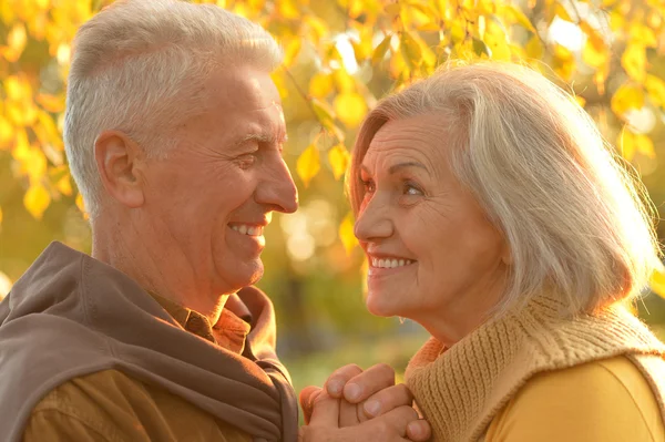 Pareja mayor en el parque de otoño — Foto de Stock