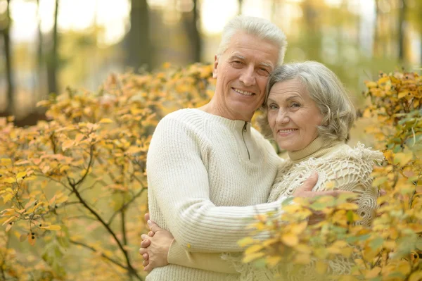 Senior couple in autumn park — Stock Photo, Image