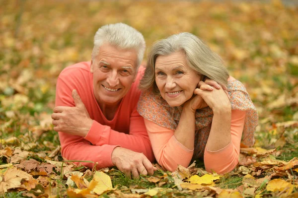 Coppia Senior nel parco autunnale — Foto Stock