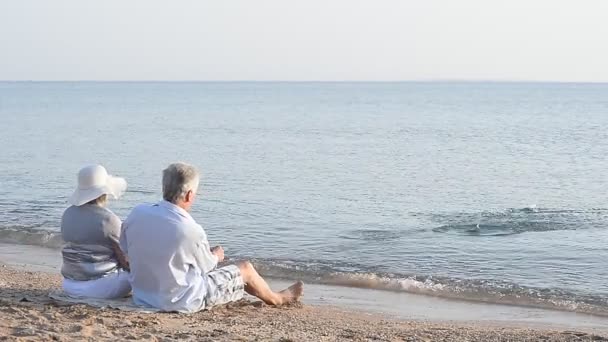 Elderly couple on a beach — Stock Video