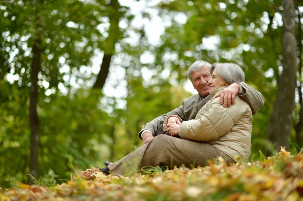 Pareja de ancianos juntos —  Fotos de Stock