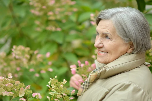 Senior woman in autumn park — Stock Photo, Image