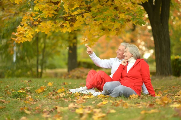 Pareja mayor en el parque de otoño — Foto de Stock