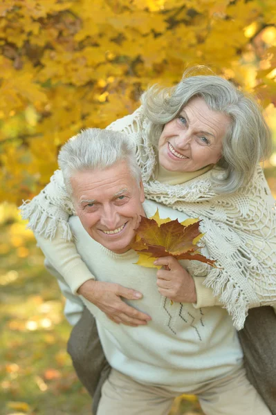 Couple sénior dans le parc d'automne — Photo