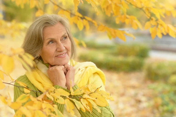 Mujer en el parque de otoño — Foto de Stock