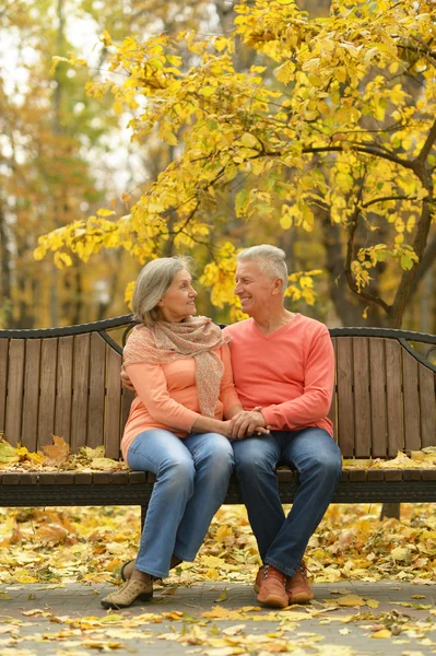 Senior par i höstparken — Stockfoto