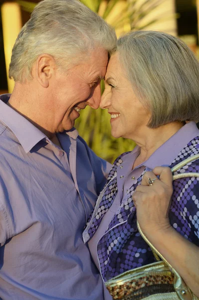 Feliz pareja de ancianos —  Fotos de Stock