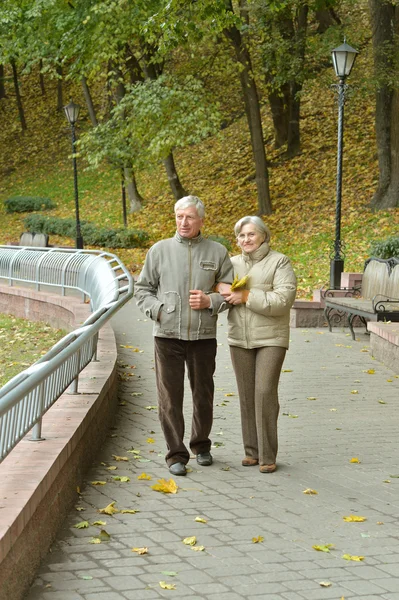 Couple âgé ensemble — Photo
