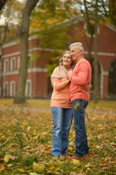 Pareja mayor en el parque de otoño — Foto de Stock