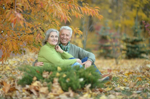 Autumn Park 'ta kıdemli bir çift — Stok fotoğraf